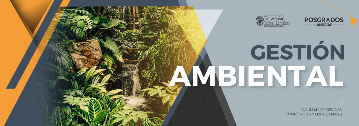 Gestión ambiental copia